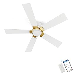 SMAAIR 48 Inch Ceiling Fan with Light and