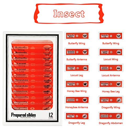 YOTINO 48Pcs Prepared Microscope Slides Specimen Animals Insects Plants Flowers Sample Biological Specimen, Stereo Microscope Slide for Kids Children Students Enlighten Education - Thumbnail 4