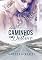 Livro Dois caminhos um destino