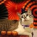 PAWCHIE 2 Pack Halloween Cat Collars with Bell Adjustable Breakaway Cat Collar with Pumpkin Bat Pattern for Halloween Party