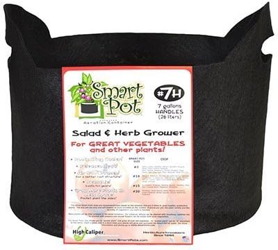 HIGH CALIPER GROWING 21007RT Smart Pot, 7-Gallon, Black by HIGH CALIPER GROWING