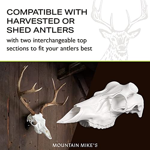 Skull Master by Illusion | White | European Mount | Antler Mounting Kit | Euro Mount | 3D Modeled Replica Deer Skull | Taxidermy | Compatible with Harvested and Shed Antlers | Universal Sizing