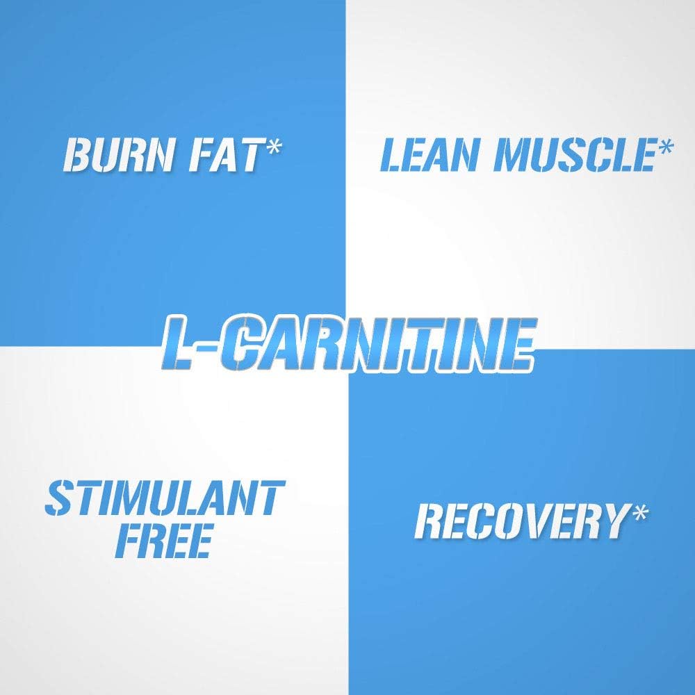 Evlution Nutrition L-Carnitine500, 500 mg of Pure L Carnitine in Each Serving, Stimulant-Free, Capsules (120 Servings): Health & Personal Care