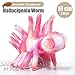 Hallucigenia Stuffed Toy