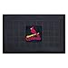 FANMATS 11316 St Louis Cardinals Door Mat,19.5