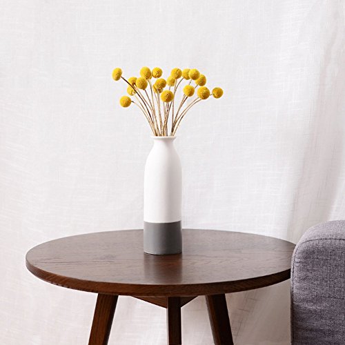 KALOR Dried Flowers Branch Farmhouse Stylet Craspedia Yellow Billy Balls for Home Decor DIY 20 Stems - Thumbnail 4