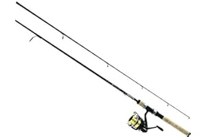 Daiwa DSK25-B/F662M D-Shock Reel & Rod Combo 6'6" Medium Action, Black/Gold