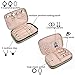 BAGSMART Double Layer Travel Jewelry Organizer Jewelry Storage Carrying Cases for Earrings, Necklaces, Rings, Black