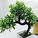 Party Tonight Artificial Japanese Zen Bonsai Tree Home Planet with Pot. Perfect for a Desk, Table, Office, Home Or Shelf Decoration