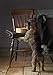 Mason Cash Cane Lettered Stoneware Dog Bowl, 17 cm