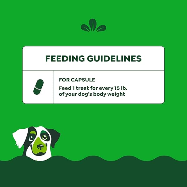 GREENIES PILL POCKETS FOR DOGS LARGE SIZE, DOG TREAT POUCH FOR CAPSULE MEDICATION, PEANUT BUTTER FLAVOR,  7.9 OZ. POUCH