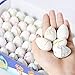 Xosoy Dinosaur Toy, 54 Pcs Dinosaur Eggs with Mini Dinosaur Toys Inside | Novelty Magic Hatching Growing Dinosaur Egg | Best Children Gift (54pcs)