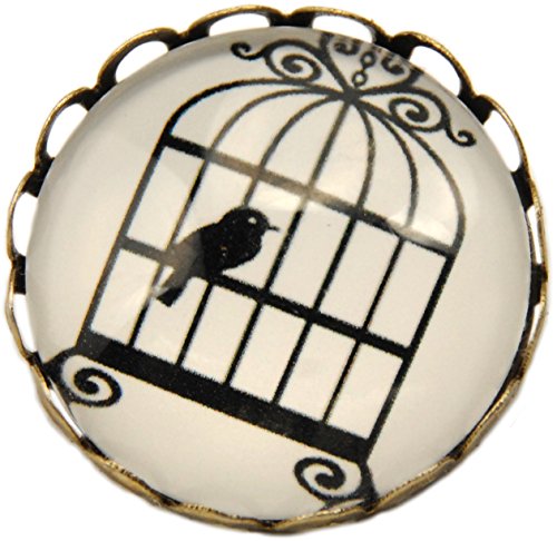 Unisex Bird in Cage Glass Cabochon Brooch Antique Bronze 25mm + FREE GIFT BAG