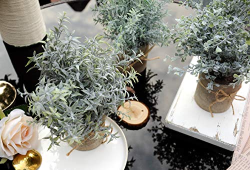 JC nateva Small Fake Plants Mini Potted Artificial Plants Indoor for Home Office Farmhouse Kitchen Bathroom Table Decor - Image 6