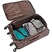 LONDON FOG Soho Softside Expandable Spinner Luggage, Brown Paisley, Carry-On 21-Inch