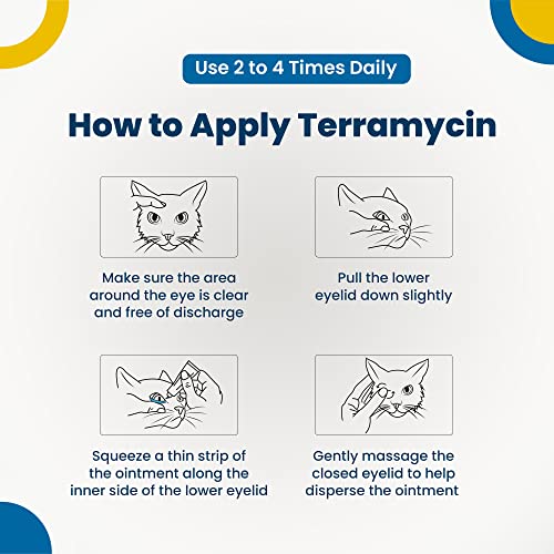 Terramycin Antibiotic Ointment for Eye Infection Treatment in Dogs