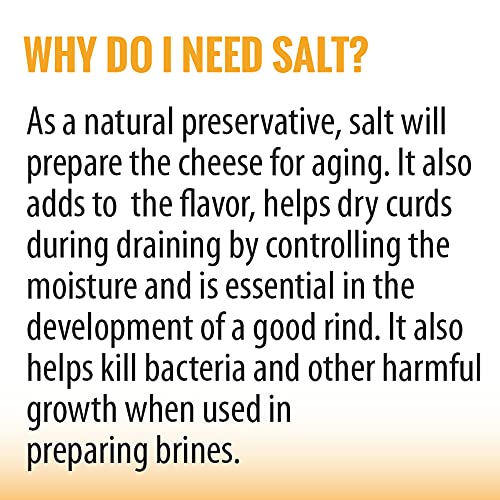 Cheese Sea Salt Fine Grain Salt for Homemade Cheese Making Non