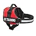 Service Dog in Training Vest with Reflective Strap & Removable Patches - Heavy Duty Nylon Straps and Handle for Dogs - 7 Sizes, ID Patch Options, Service Dog Vest Harness with IT tag (Red, Medium)
