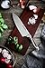 Hammer Stahl 8-Inch High Carbon Chef Knife | Versatile Cooking Knife for Chopping, Slicing & Precision Cutting | German Forged Sharp Kitchen Knife | Ergonomic Quad-Tang Pakkawood Handle & Gift Box