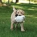 goDog Puppy Tough Ball Cow Dog Toy with Chew Guard Technology