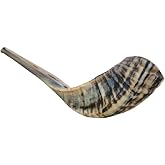 Amen Judaica Ram Horn Shofar From Israel, Beautiful Blowing Shofar Made In Israel (12-14 Inch)