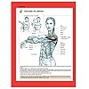 Strength Training Anatomy, 3rd Edition