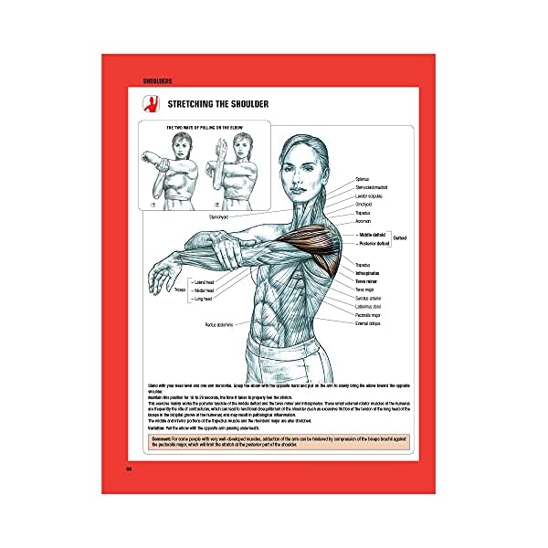 Strength Training Anatomy, 3rd Edition