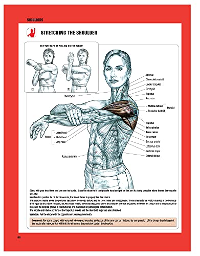 Strength Training Anatomy, 3rd Edition - Image 4