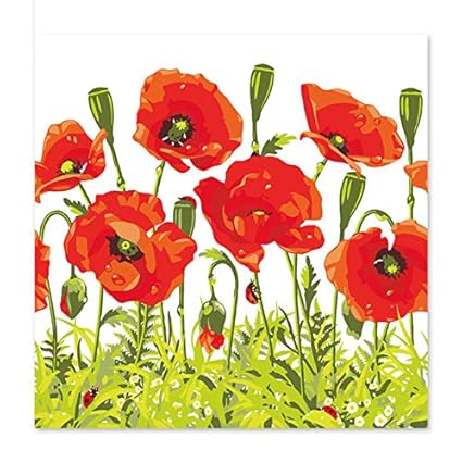 Ykcksd Peinture Par Numéros Art Paint By Number Coquelicot