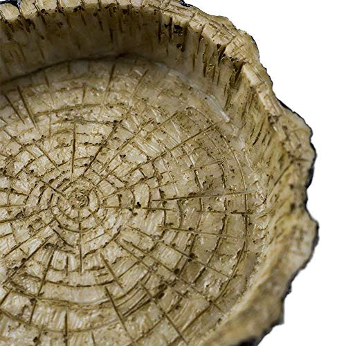 AROYEL Reptile Bowl Food Water Dish Bearded Dragon Gecko Meal Worm Feeder, Resin Feeding Food Water Dish Dispenser Snack Holder for Tortoise Spider Lizard - Thumbnail 4