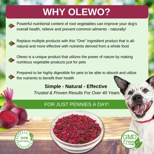 beets for dog allergies