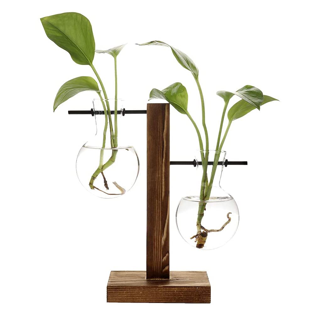 Desktop Glass Planter, with Stand Glass Planter, Plant Terrarium Bulb Vase,Transparent Bulb Vase with Wooden Stand, Desktop Hydroponic Glass Vase, Suitable for Bedroom Garden Office Decoration