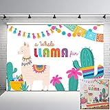 Mehofoto Fiesta Llama Backdrop A Whole Llama Fun Birthday Backdrops Llama Party Cactus Below Mexican Theme Background for Birthday Baby Shower Decorations Supplies 7x5