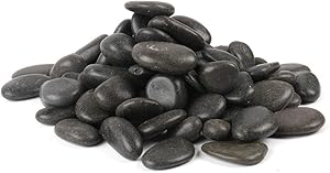 FANTIAN Black Natural Decorative River Pebbles – 5lb 0.78-1.57 Inch Black Ornamental River Pebbles for Garden Landscaping, Home Décor, Outdoor Paving, Fountain Decoration.