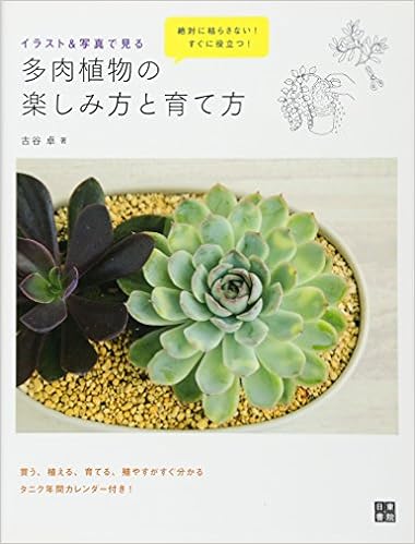 イラスト 写真で見る 多肉植物の楽しみ方と育て方 古谷 卓 本 通販 Amazon