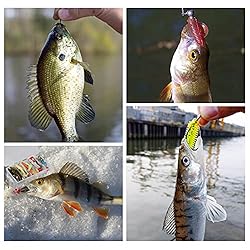 ZWMING Soft Fishing Lures Set, Jig Head Soft