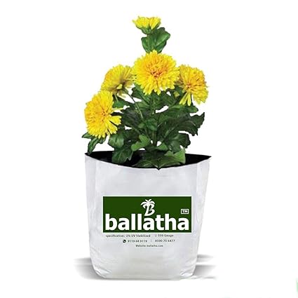 ballatha 550 GSM, 100% UV Treated Poly Grow Bag for Plants Terrace Gardening - Grow Vegetables, Fruits, Onion & Other Leafy Vegetables - 20 x 20 x 35 cm - White Outside, Black Inside - Pack of 10