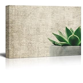 Canvas Print Wall Art - Pot of Succulent Plant on Abstract Grunge Background - Gallery Wrap Modern Home Art | Ready to Hang - 12x18 inches