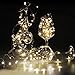 SHINE HAI 12-Pack 6.5FT/2M LED Copper Wire String Lights 20 Micro Starry Waterproof LED Moon Lights, Warm White, Battery Operated for Party Wedding Centerpiece Christmas Table Decoration