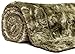 Chanasya Premium Wolf Faux Fur Throw Blanket - Soft, Fuzzy Sherpa & Minky Throw Blanket - for Bed or Couch - 50