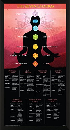 Culturenik Yoga Seven Chakras Inspirational Motivational Spiritual Poster Print, (Framed 12 x 24)