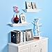 WELLAND Corona Crown Molding Floating Wall Photo Ledge Shelves Fireplace Mantel Shelf(18-Inch, White)