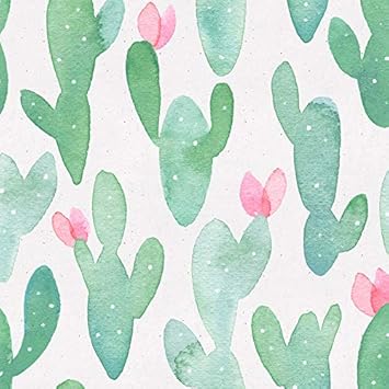 Haokhome Cactus Peel And Stick Wallpaper Removable For Lockers Green Pink Vinyl Self Adhesive Decorative 17 7in X 9 8ft Amazon Com