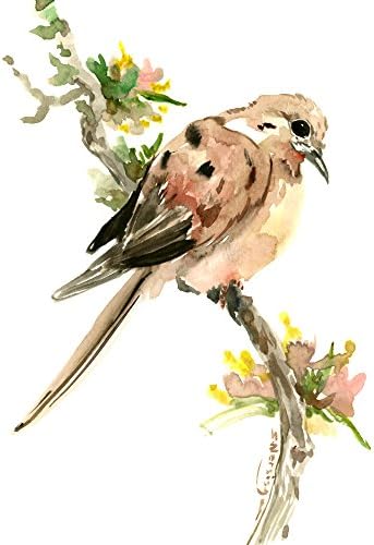 Mouring Dove, original one of akind watercolor artwork