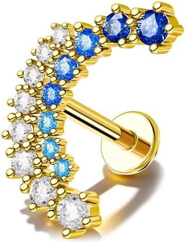 Amazon.com: IMPULSE Piercings Titanium Hinged Hoop With Pave