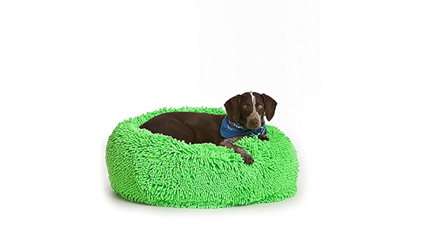 bean bag pet bed