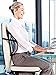 Zone Tech Set of 2 PosturePro Mesh Office Chair & Car Seat Lumbar Back Support