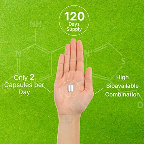 Vitamin B1 500mg with Benfotiamine, 240 Capsules 2 in 1 Enhanced