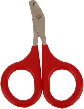rabbit nail cutters