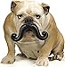 Moody Pet Humunga Stache - Large